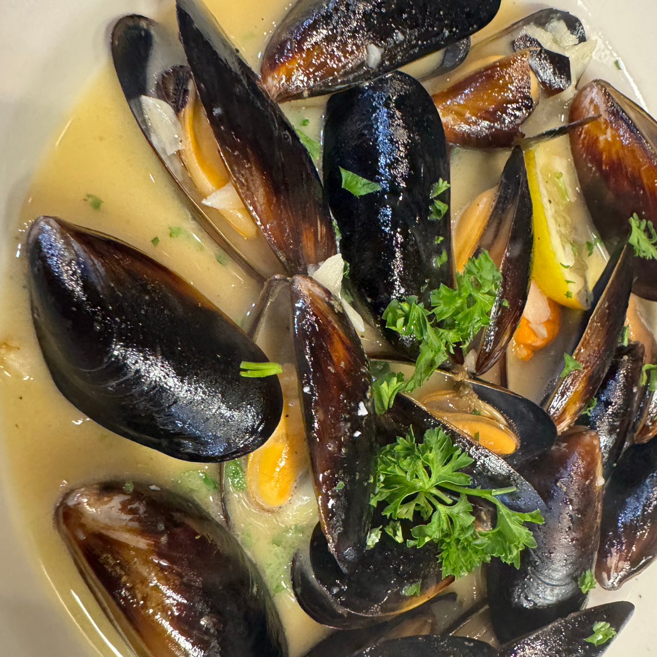 Mussels Appetizer.